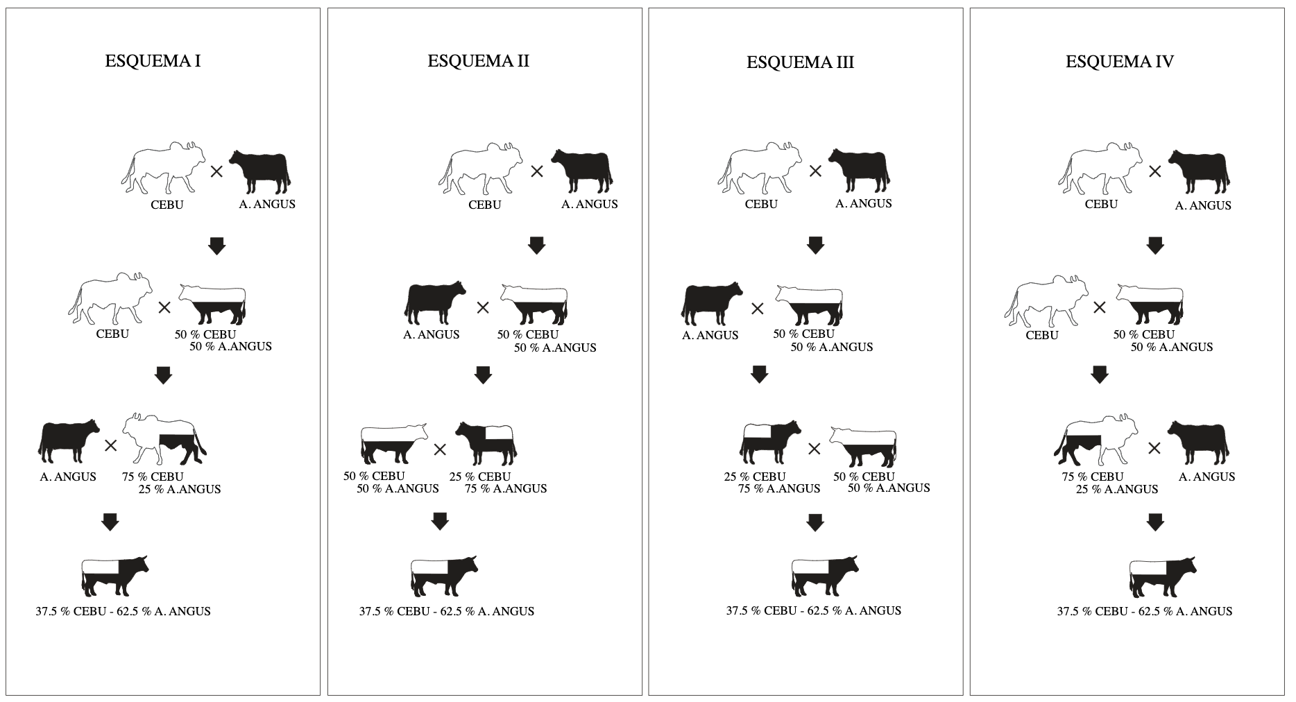 Captura de pantalla 2025 05 03 a las 11.34.37 a